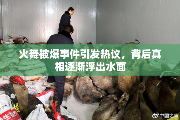 火舞被爆事件引发热议，背后真相逐渐浮出水面
