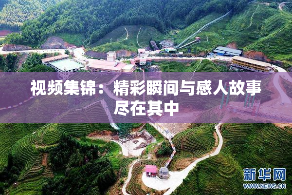 视频集锦：精彩瞬间与感人故事尽在其中