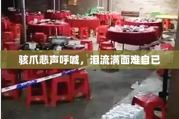 骇爪悲声呼喊，泪流满面难自已