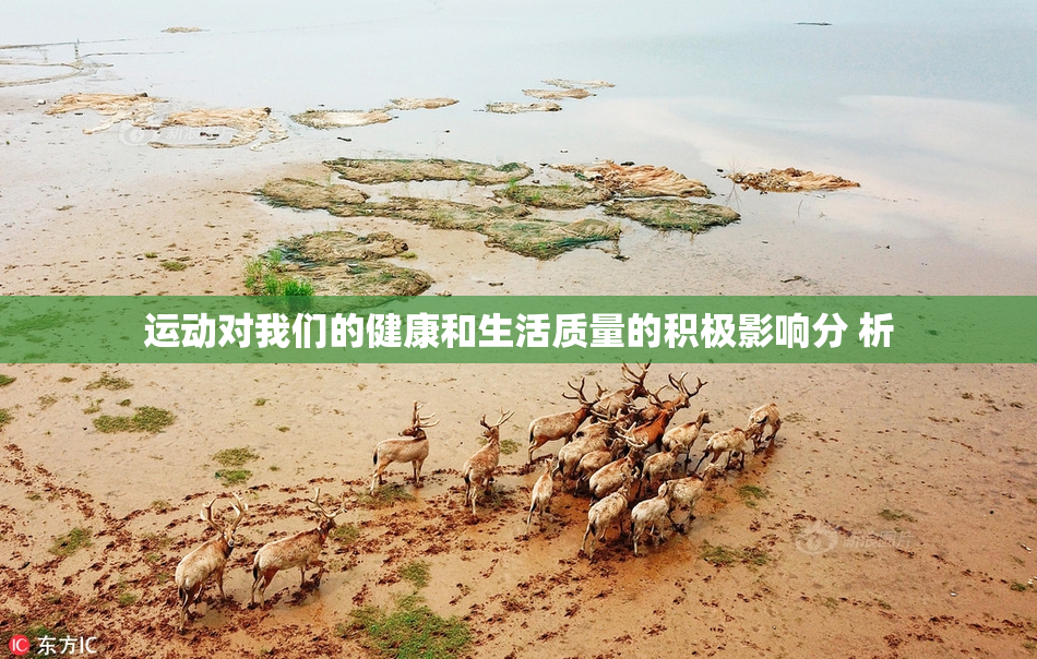 运动对我们的健康和生活质量的积极影响分 析