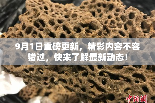 9月1日重磅更新，精彩内容不容错过，快来了解最新动态！
