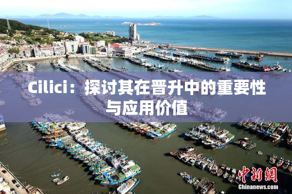 Cilici：探讨其在晋升中的重要性与应用价值