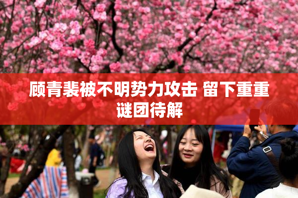 顾青裴被不明势力攻击 留下重重谜团待解