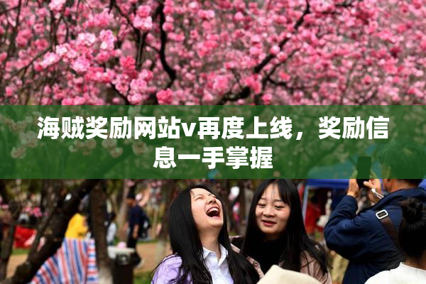 海贼奖励网站v再度上线，奖励信息一手掌握