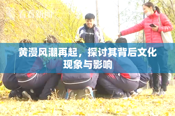 黄漫风潮再起，探讨其背后文化现象与影响