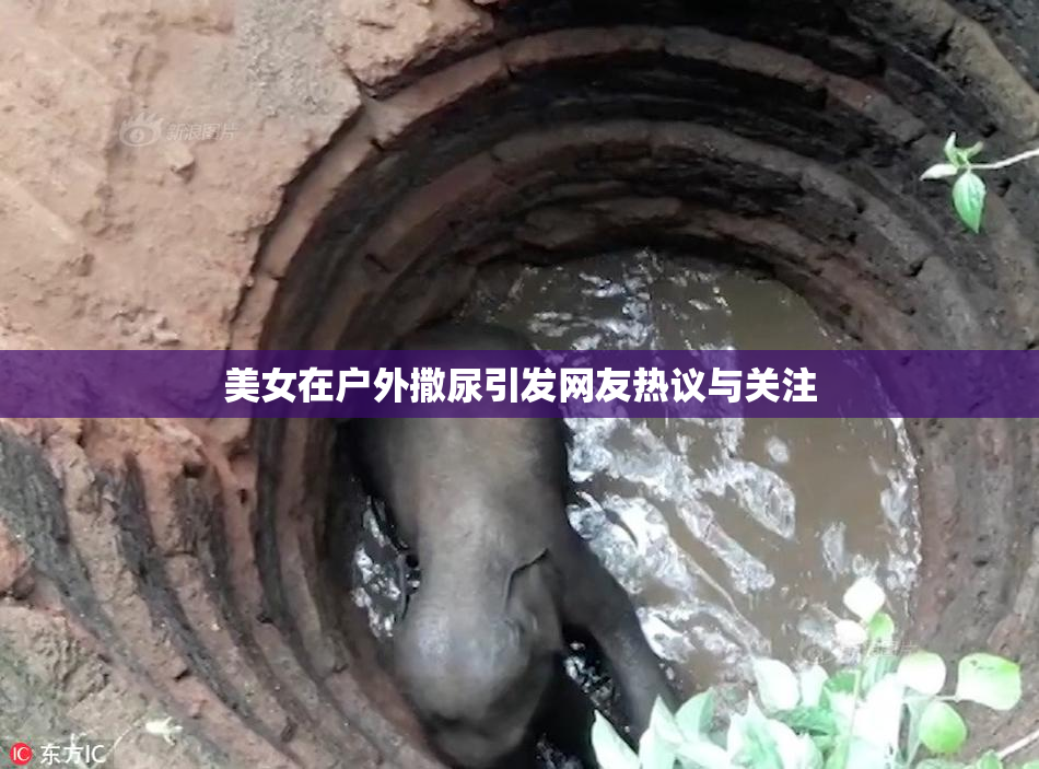 美女在户外撒尿引发网友热议与关注