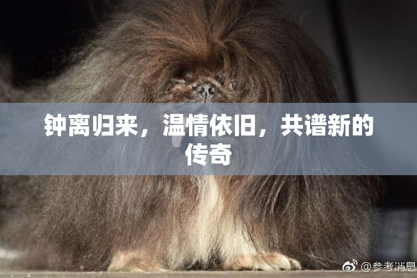 钟离归来，温情依旧，共谱新的传奇