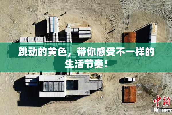跳动的黄色，带你感受不一样的生活节奏！
