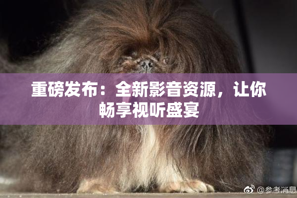 重磅发布：全新影音资源，让你畅享视听盛宴