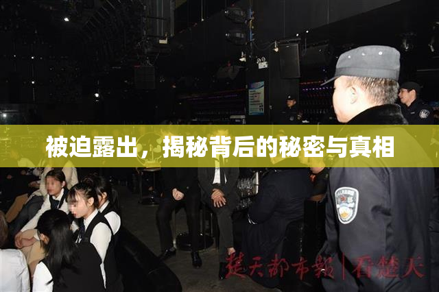 被迫露出，揭秘背后的秘密与真相