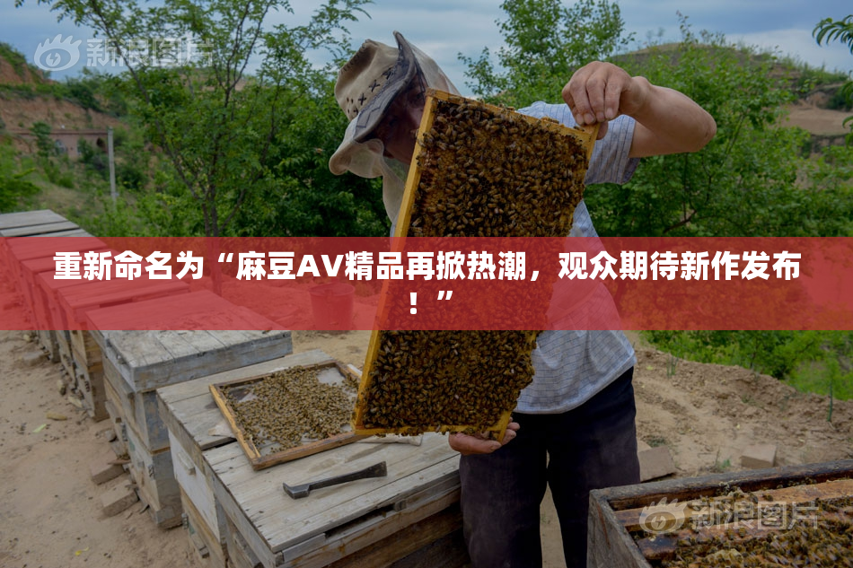 重新命名为“麻豆AV精品再掀热潮，观众期待新作发布！”