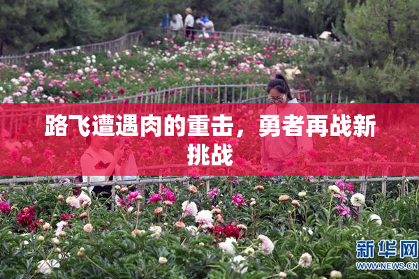路飞遭遇肉的重击，勇者再战新挑战