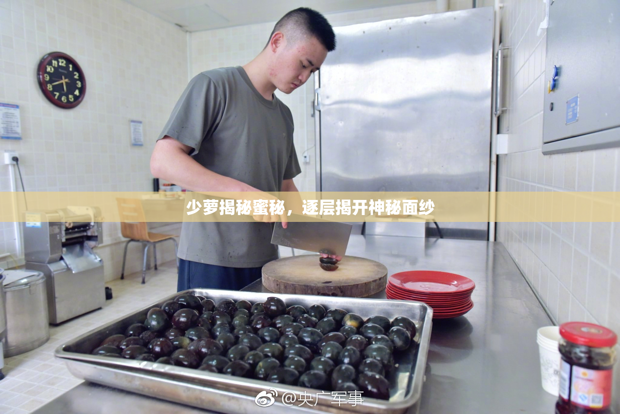 少萝揭秘蜜秘，逐层揭开神秘面纱