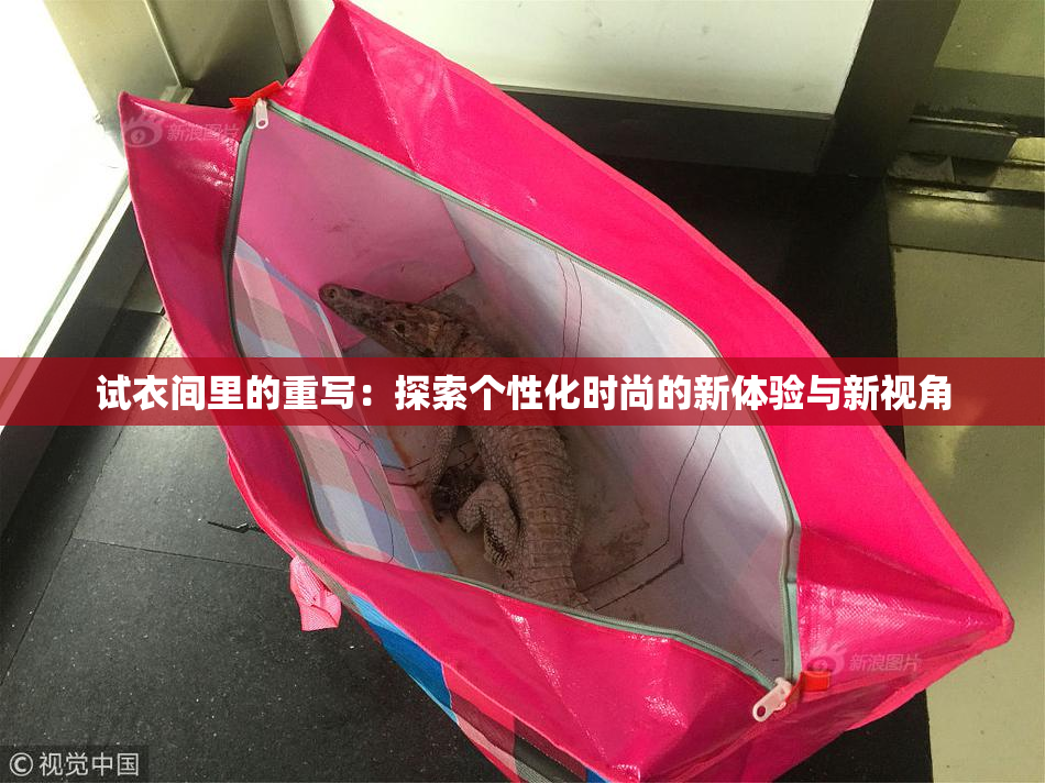 试衣间里的重写：探索个性化时尚的新体验与新视角