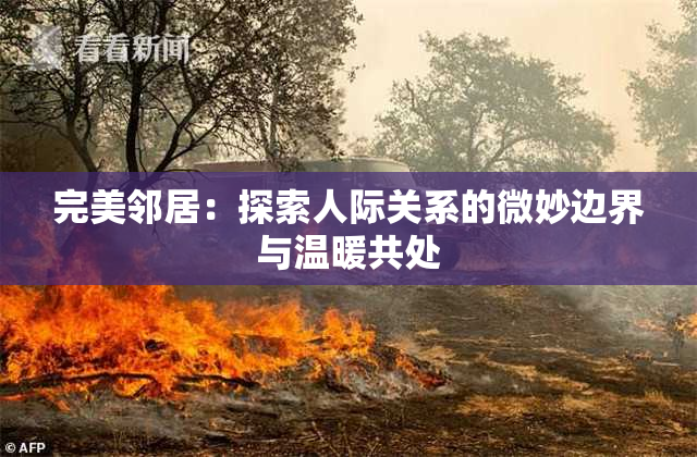 完美邻居：探索人际关系的微妙边界与温暖共处