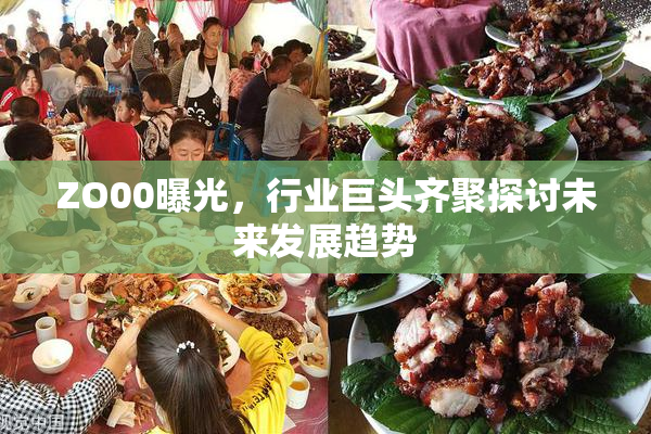 ZO00曝光，行业巨头齐聚探讨未来发展趋势