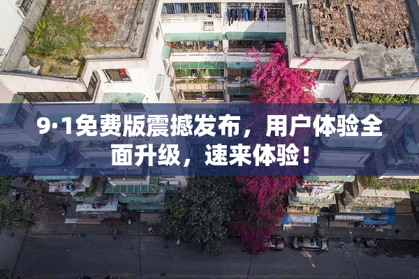 9·1免费版震撼发布，用户体验全面升级，速来体验！