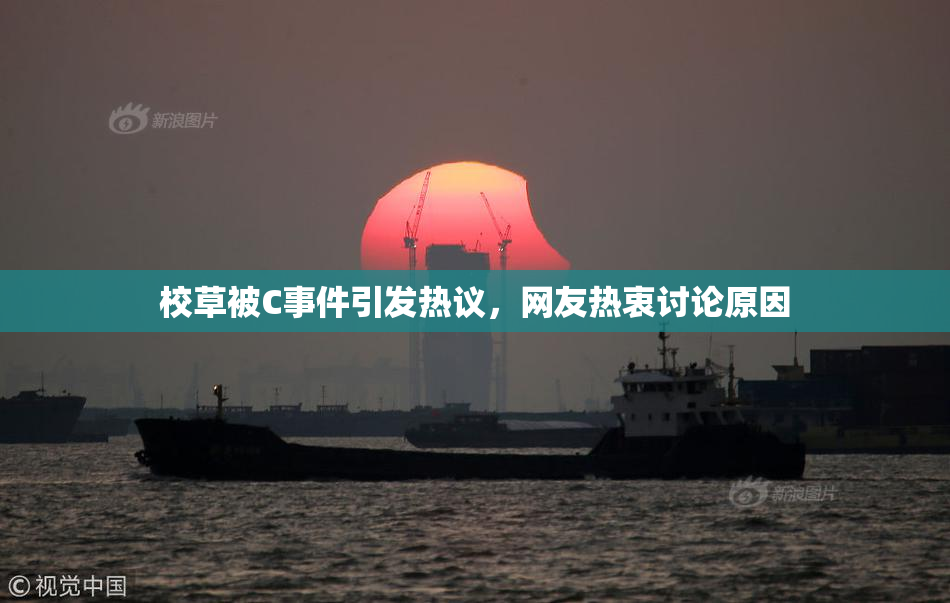 校草被C事件引发热议，网友热衷讨论原因