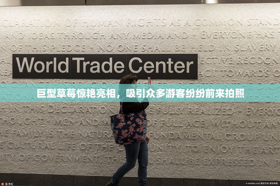 巨型草莓惊艳亮相，吸引众多游客纷纷前来拍照