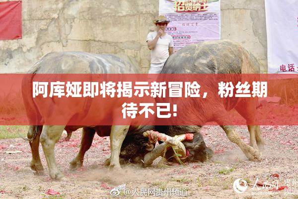 阿库娅即将揭示新冒险，粉丝期待不已!
