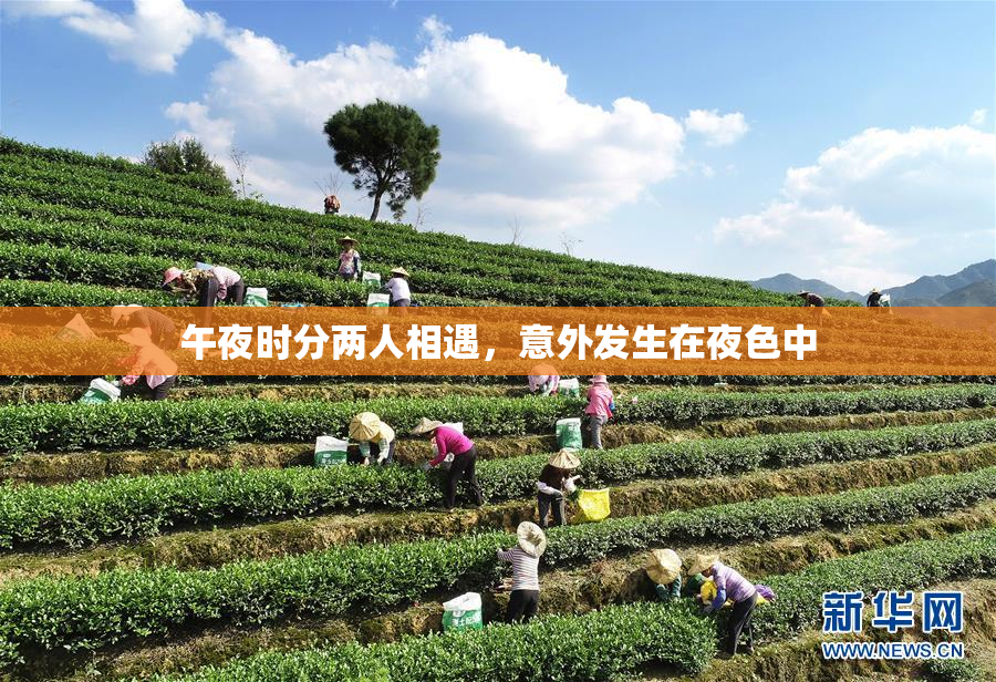 午夜时分两人相遇，意外发生在夜色中