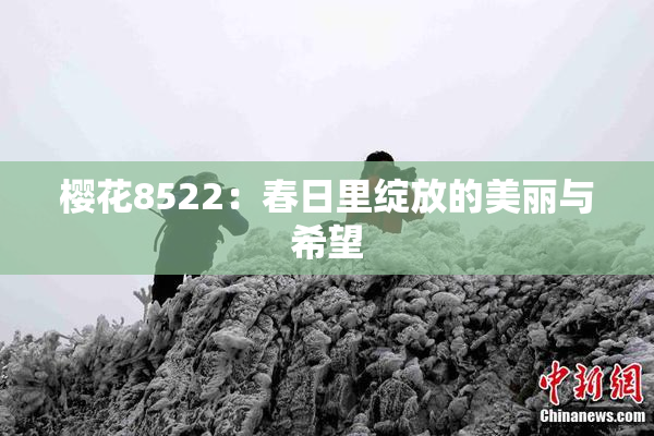 樱花8522：春日里绽放的美丽与希望