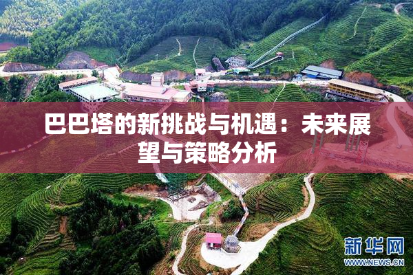 巴巴塔的新挑战与机遇：未来展望与策略分析
