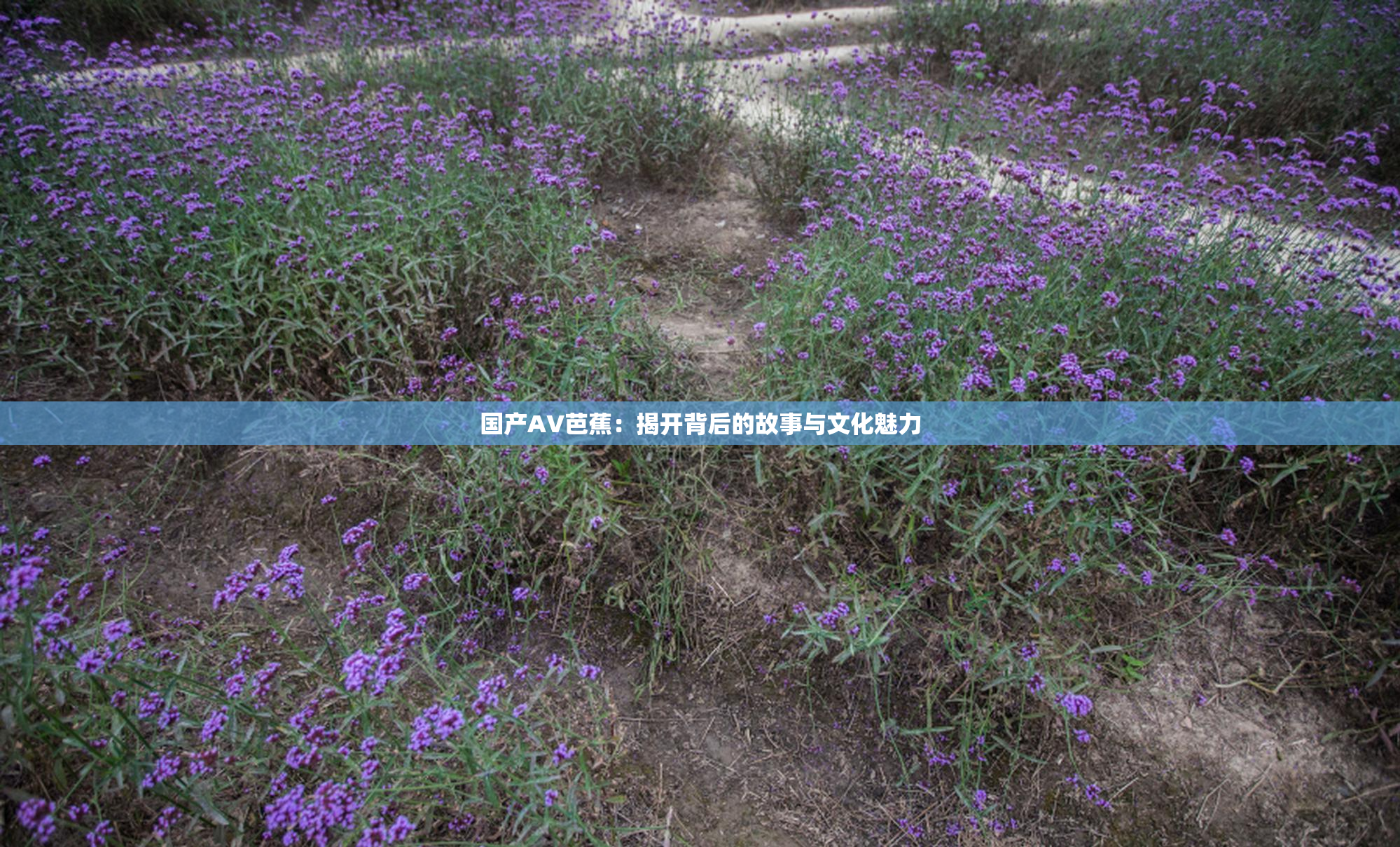 国产AV芭蕉：揭开背后的故事与文化魅力