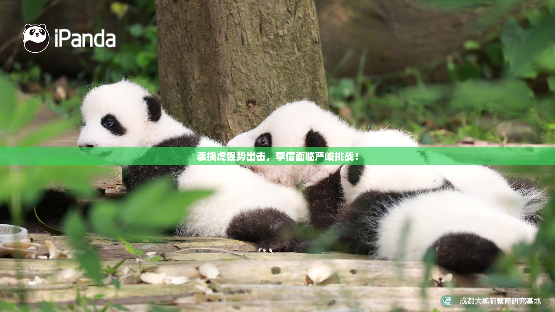 裴擒虎强势出击，李信面临严峻挑战！