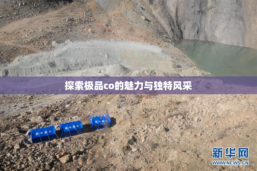 探索极品co的魅力与独特风采