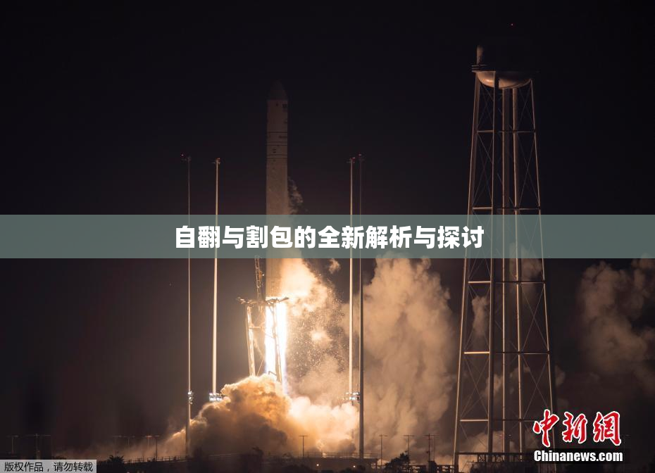 自翻与割包的全新解析与探讨