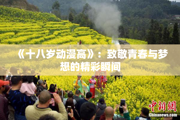 《十八岁动漫高》：致敬青春与梦想的精彩瞬间
