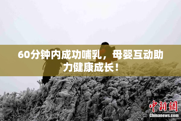 60分钟内成功哺乳，母婴互动助力健康成长！