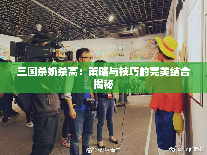 三国杀奶杀高：策略与技巧的完美结合揭秘