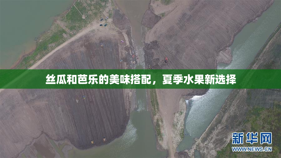丝瓜和芭乐的美味搭配，夏季水果新选择