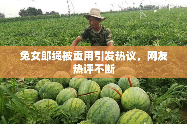 兔女郎绳被重用引发热议，网友热评不断