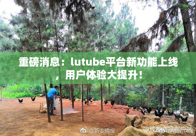重磅消息：lutube平台新功能上线，用户体验大提升！