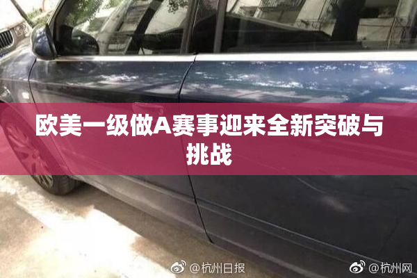 欧美一级做A赛事迎来全新突破与挑战