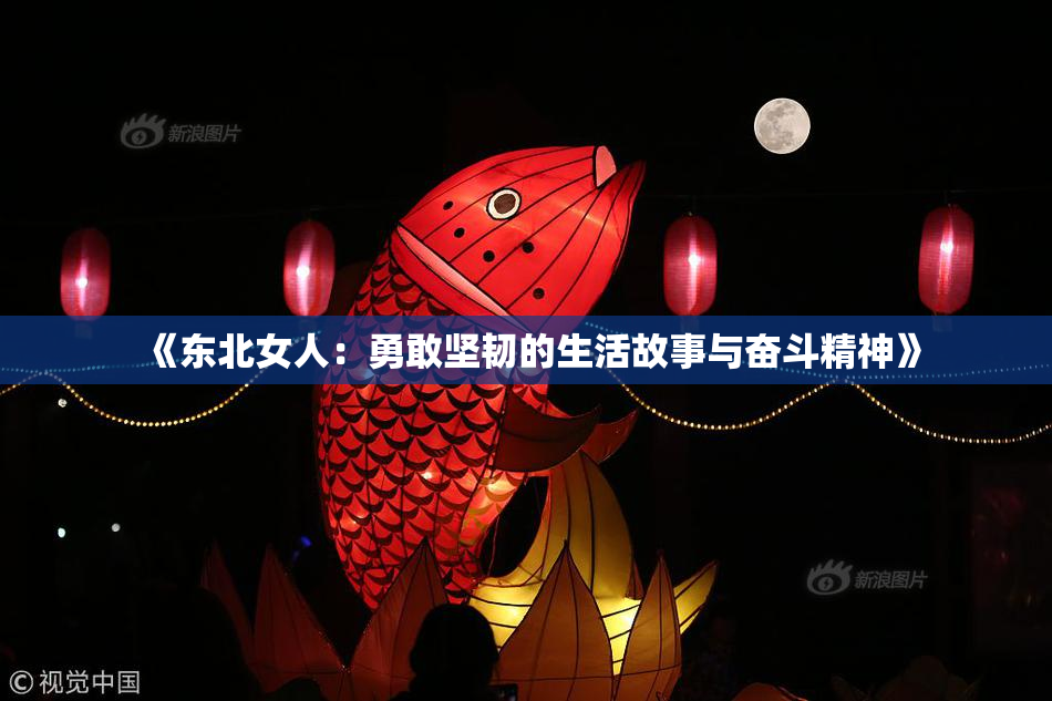 《东北女人：勇敢坚韧的生活故事与奋斗精神》