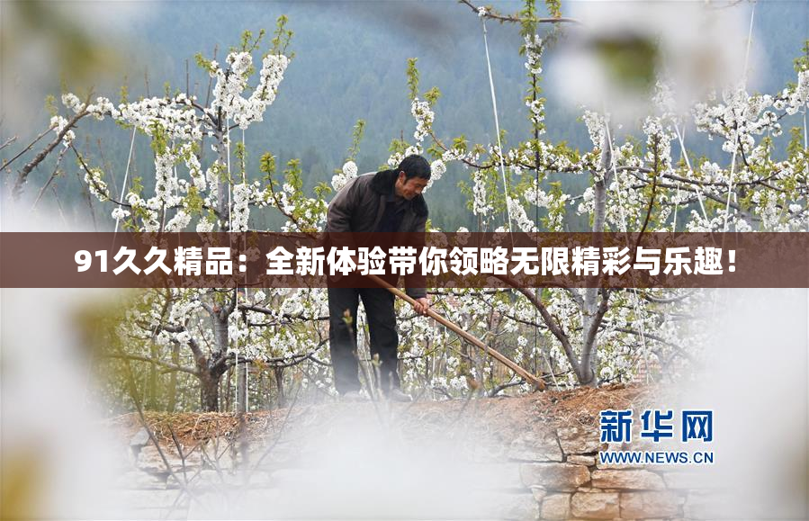 91久久精品：全新体验带你领略无限精彩与乐趣！