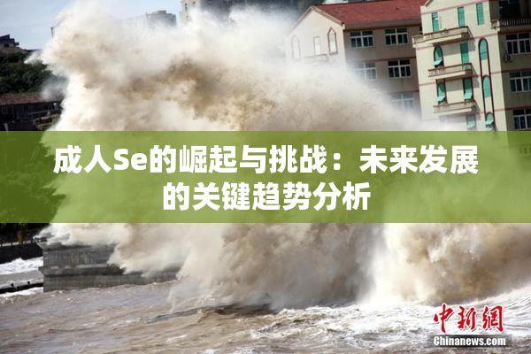 成人Se的崛起与挑战：未来发展的关键趋势分析