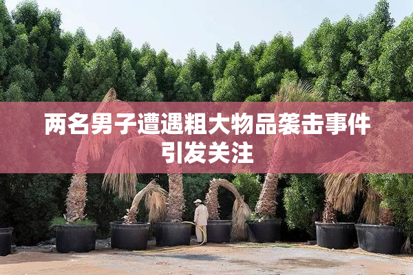 两名男子遭遇粗大物品袭击事件引发关注