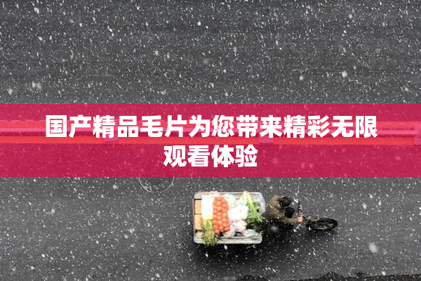 国产精品毛片为您带来精彩无限观看体验
