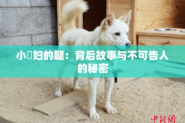 小婬妇的腿：背后故事与不可告人的秘密