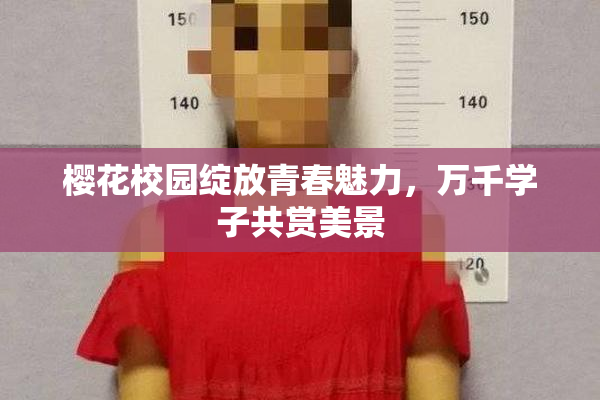 樱花校园绽放青春魅力，万千学子共赏美景