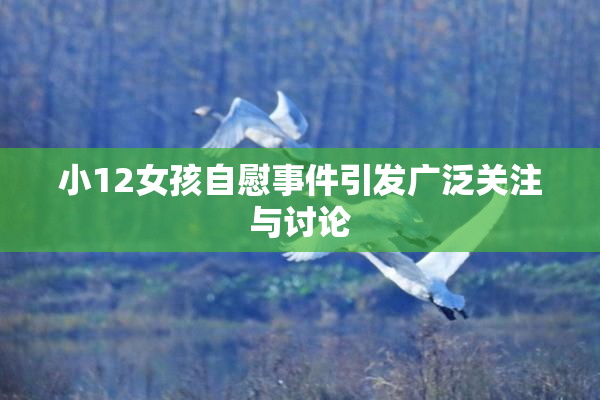 小12女孩自慰事件引发广泛关注与讨论