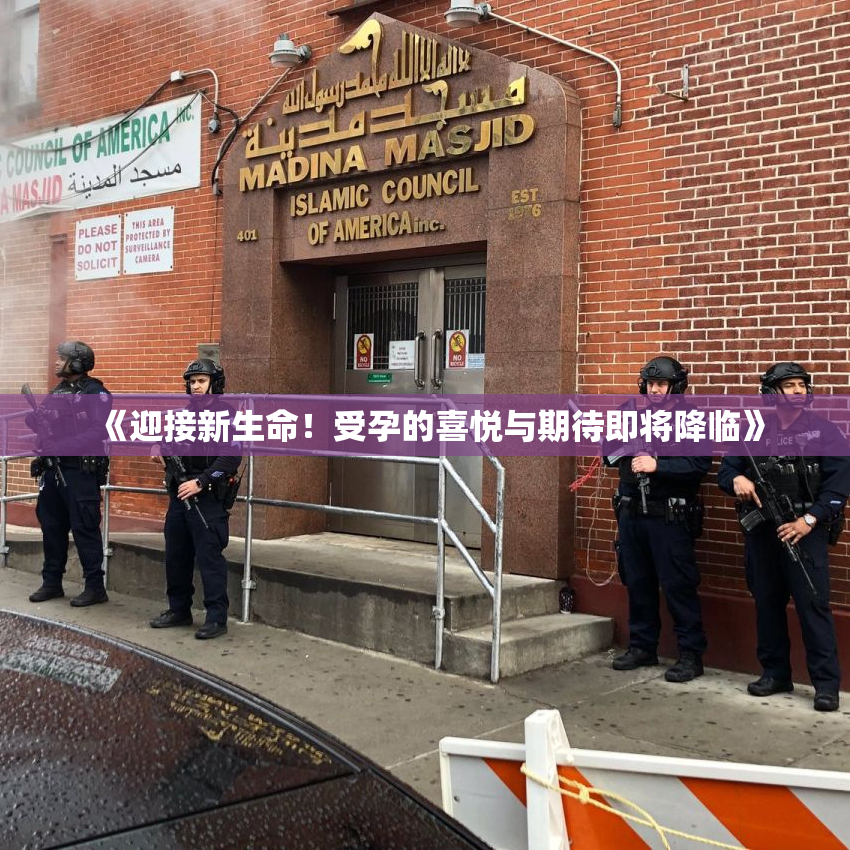 《迎接新生命！受孕的喜悦与期待即将降临》