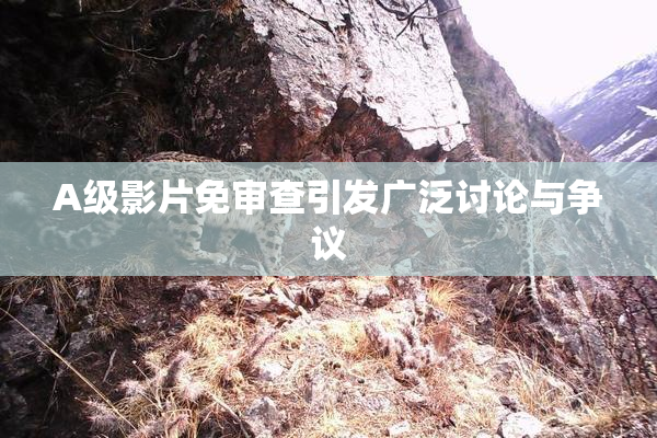 A级影片免审查引发广泛讨论与争议
