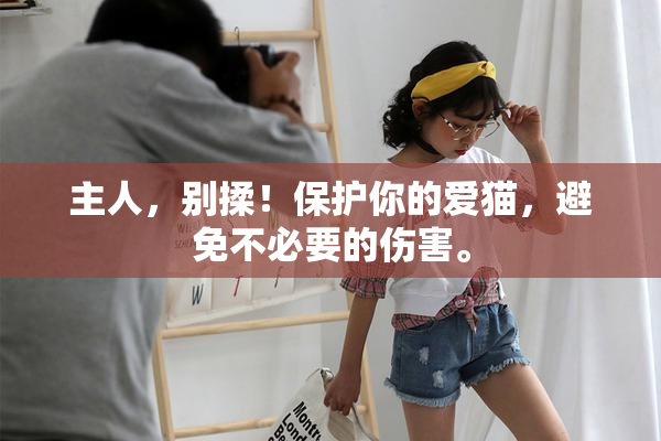 主人，别揉！保护你的爱猫，避免不必要的伤害。