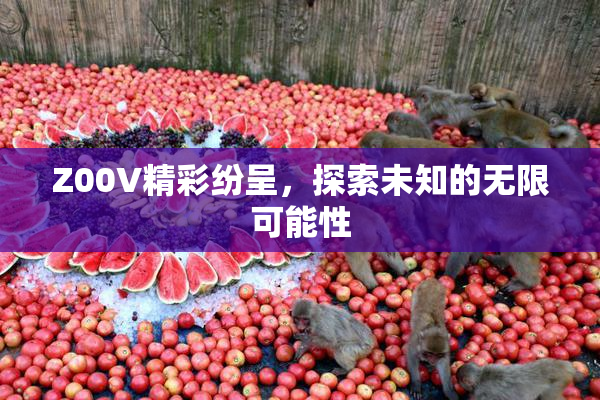Z00V精彩纷呈，探索未知的无限可能性
